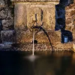 ファームステイ Quinta De Silharezes, Lda