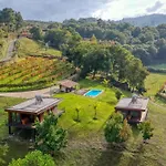 Quinta De Silharezes, Lda *