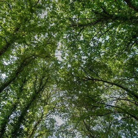Quinta De Silharezes, Lda Ponte da Barca