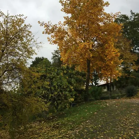 Quinta De Silharezes, Lda Gospodarstwo agroturystyczne