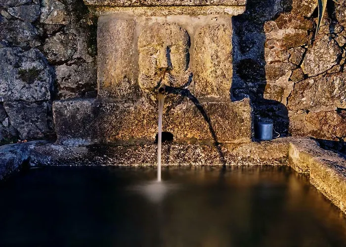 Farma Quinta De Silharezes, Lda