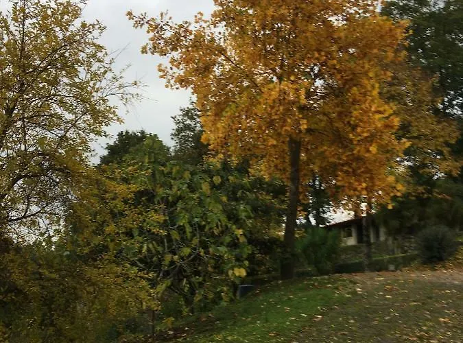 Quinta De Silharezes, Lda Farma